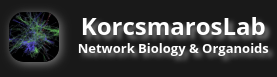 Official Website of KorcsmarosLab